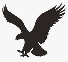 American Eagle coupons